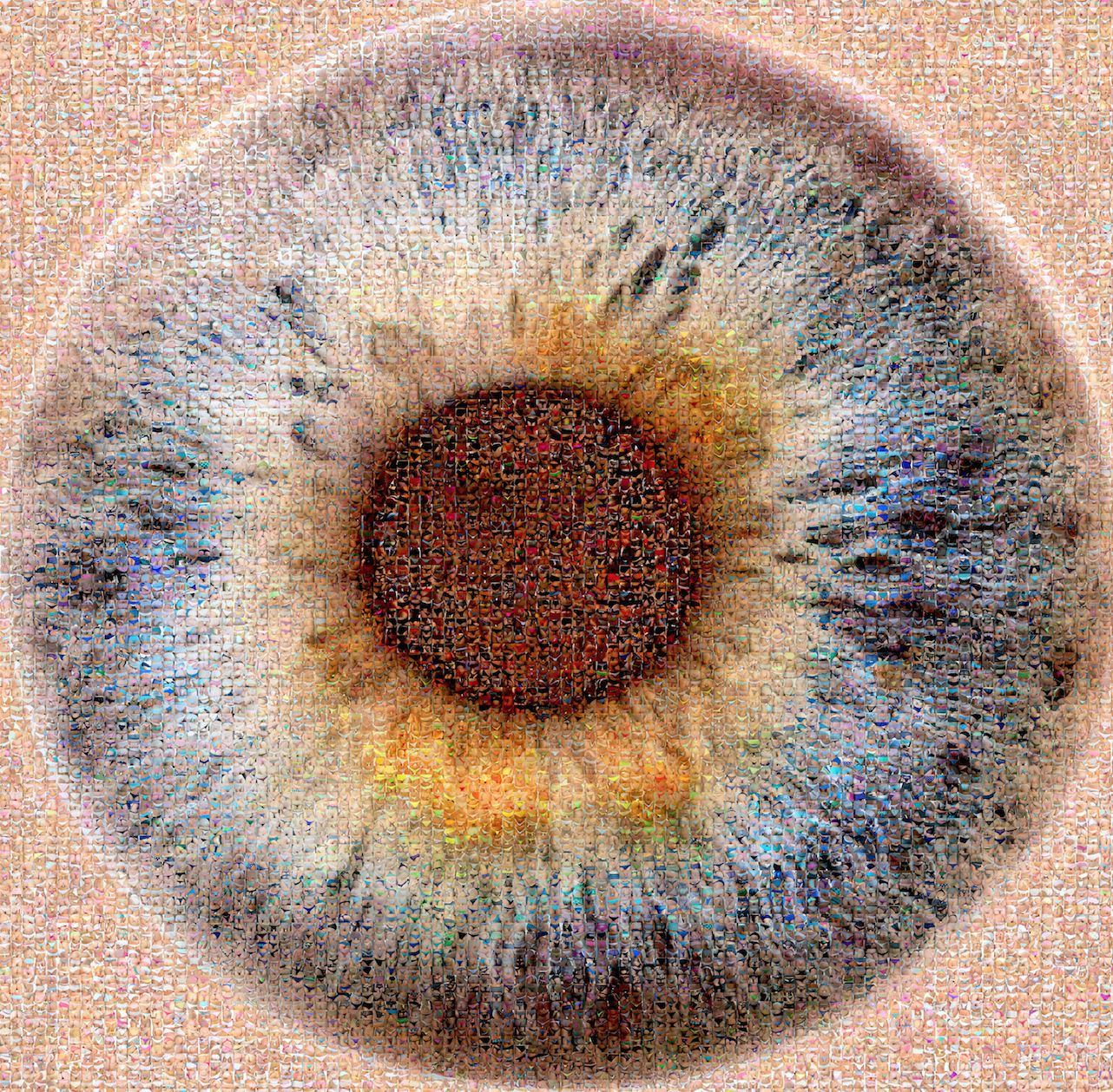 Eye