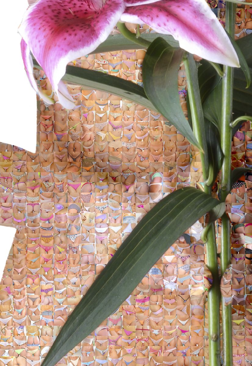 My Gift    (Polyform)